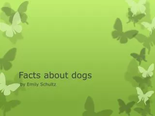 Facts about dogs