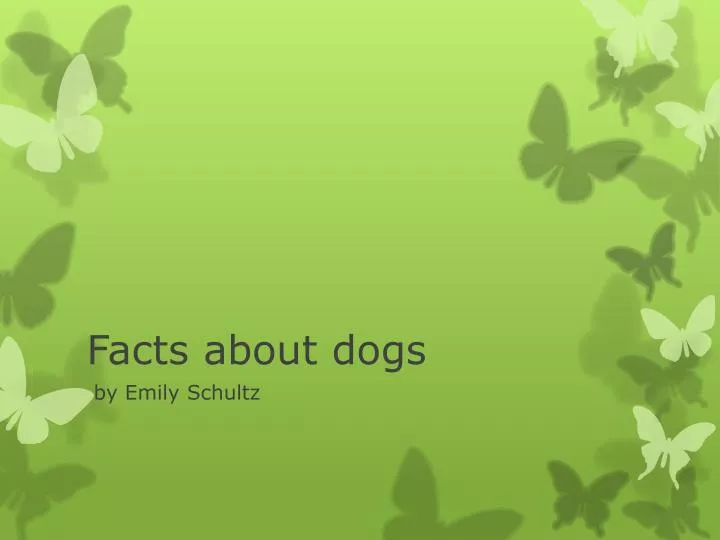 facts about dogs