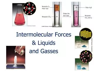 Intermolecular Forces &amp; Liquids and Gasses