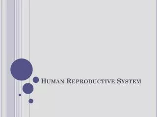 Human Reproductive System