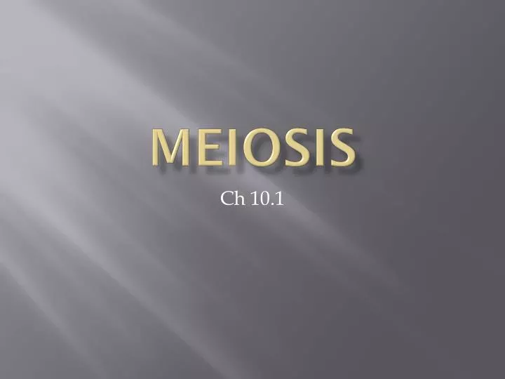 meiosis