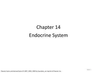 Chapter 14 Endocrine System
