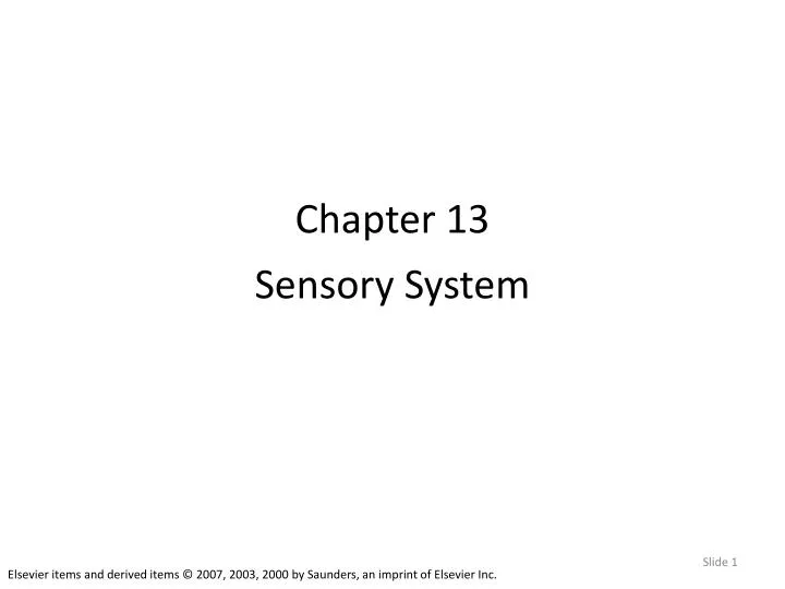 chapter 13 sensory system