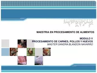 maestria en procesamiento de alimentos