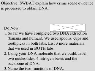 Objective: SWBAT explain how crime scene evidence is processed to obtain DNA.