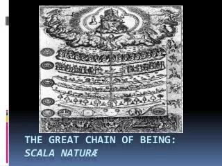The Great Chain of Being: scala natur ?