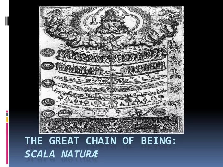 the great chain of being scala natur