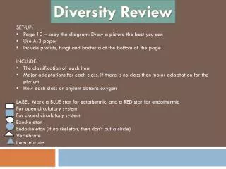 Diversity Review