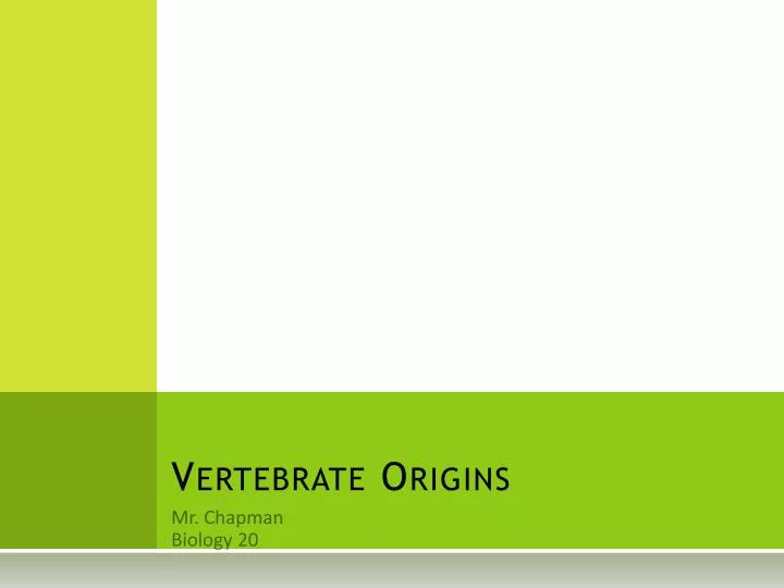 vertebrate origins