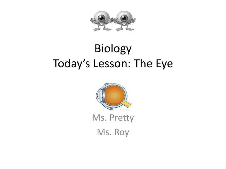 biology today s lesson the eye
