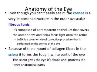 Anatomy of the Eye