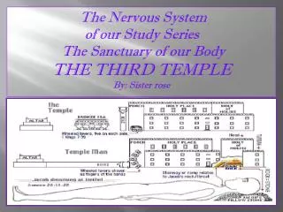 The Nervous System of our Study Series The Sanctuary of our Body THE THIRD TEMPLE