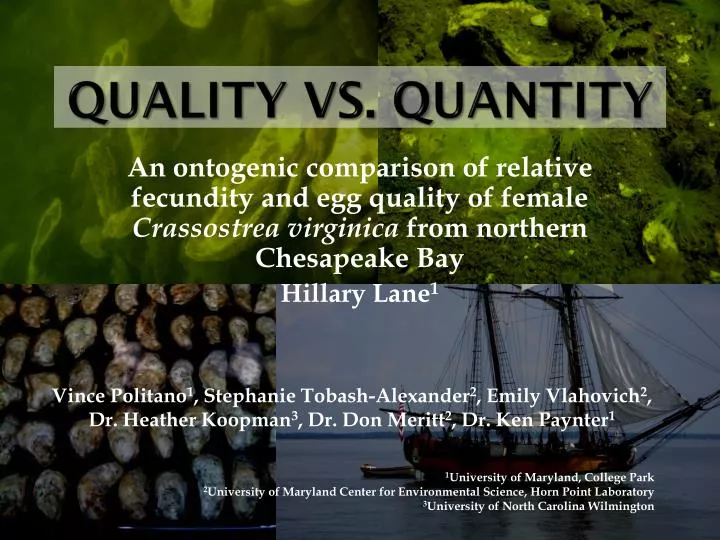 quality vs quantity