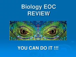 Biology EOC REVIEW