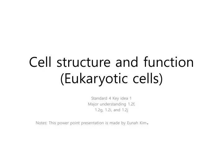 cell structure and function eukaryotic cells