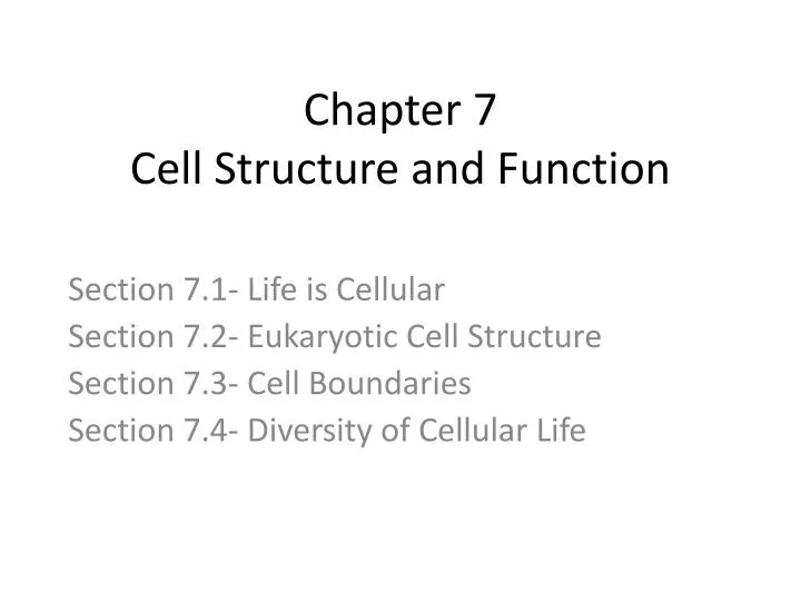 chapter 7 cell structure and function