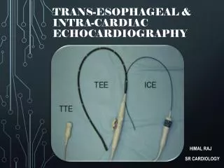 Trans-esophageal &amp; Intra-cardiac Echocardiography
