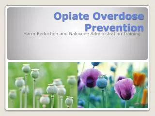 Opiate Overdose Prevention