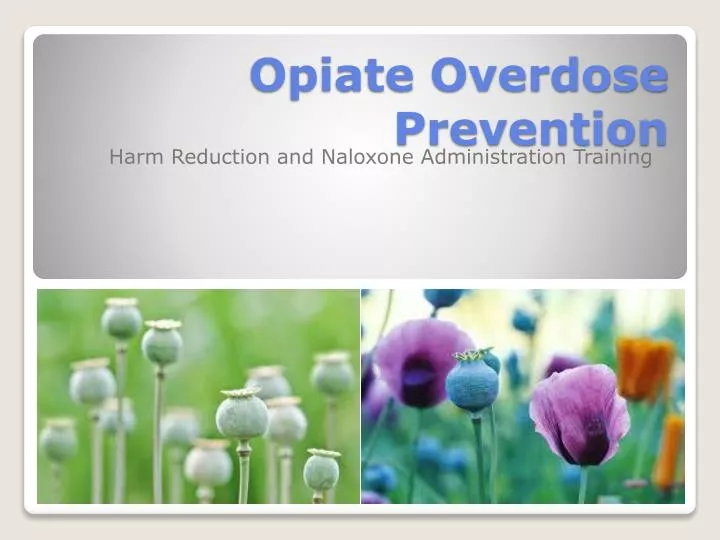 opiate overdose prevention