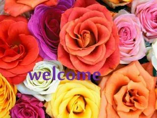 welcome