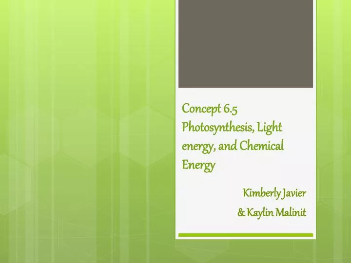 concept 6 5 photosynthesis light energy and chemical energy