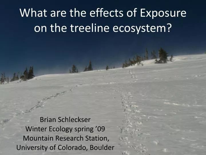 what are the effects of exposure on the treeline ecosystem