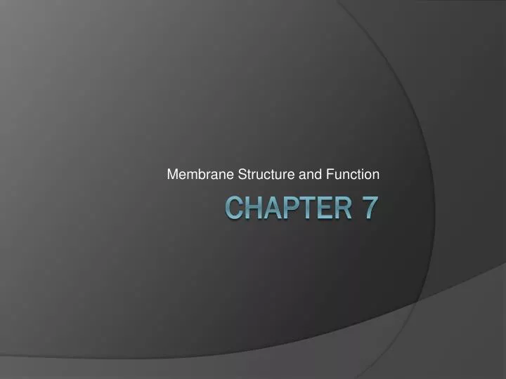 membrane structure and function