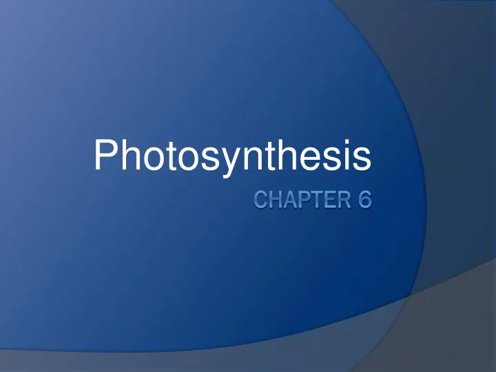 photosynthesis