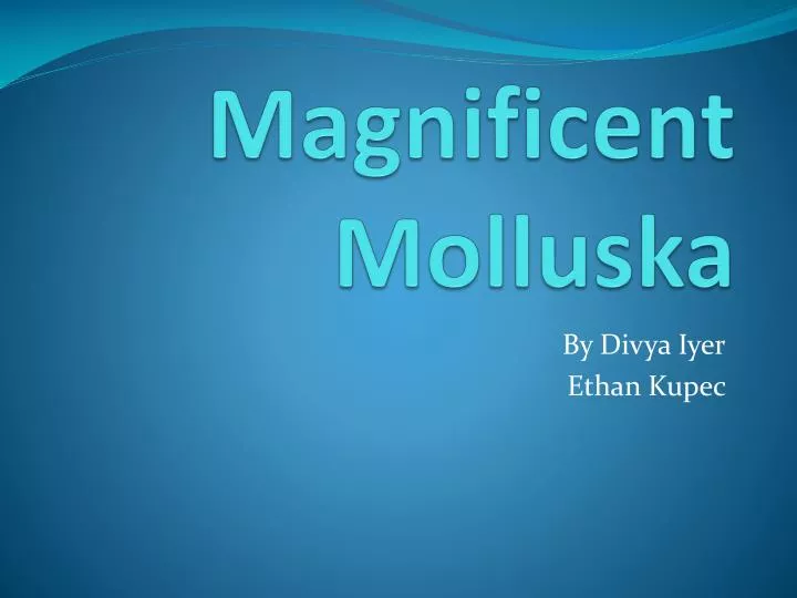 magnificent molluska