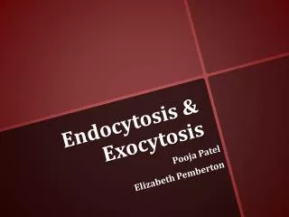 Endocytosis &amp; Exocytosis