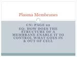 Plasma Membranes - slide 1