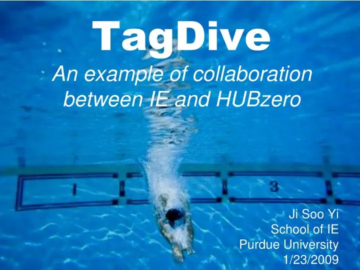tagdive an example of collaboration between ie and hubzero