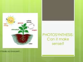 PHOTOSYNTHESIS: Can it make sense?