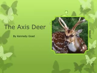 The Axis Deer
