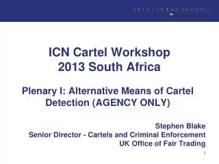 ICN Cartel Workshop 2013 South Africa