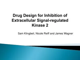 Drug Design for Inhibition of Extracellular Signal-regulated Kinase 2