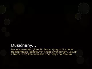 dusi nany