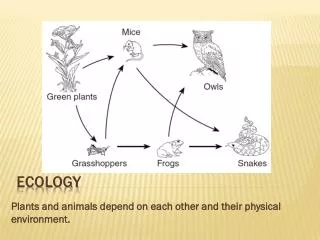 plants and animals depend on each other and their physical environment
