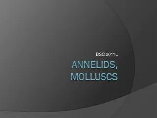 Annelids, Molluscs