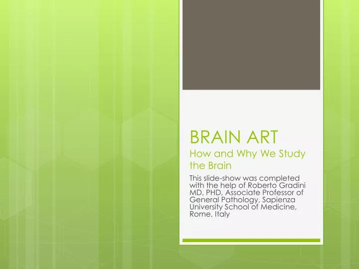 brain art how and why we study the brain