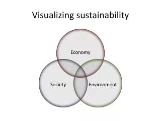 Visualizing sustainability