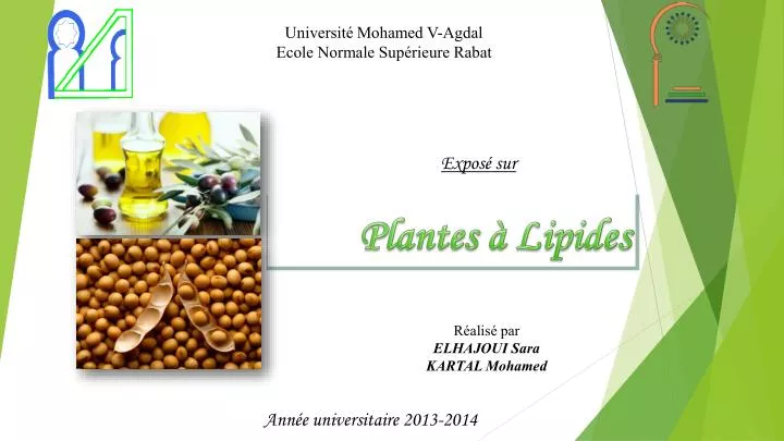 plantes lipides
