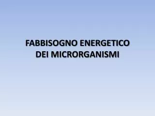 FABBISOGNO ENERGETICO DEI MICRORGANISMI