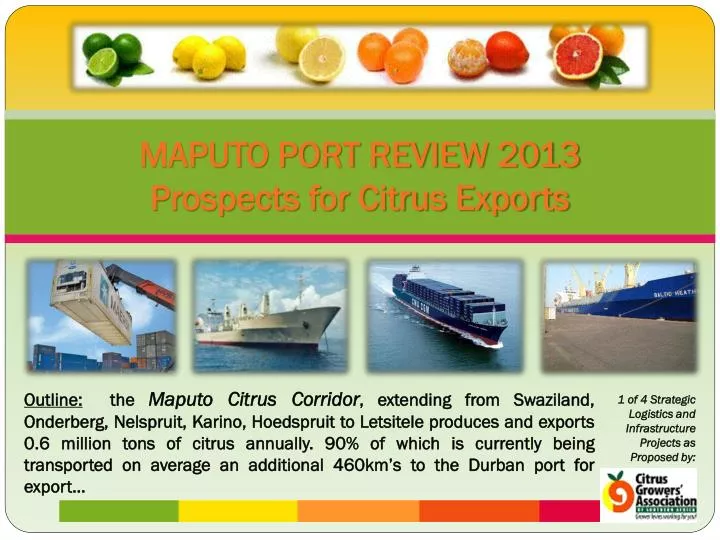 maputo port review 2013 prospects for citrus exports