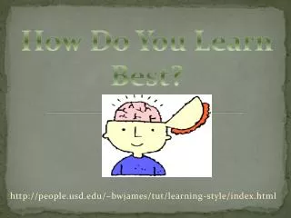 http://people.usd.edu/~bwjames/tut/learning-style/index.html