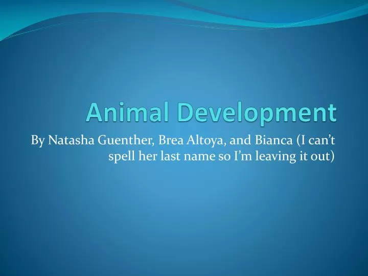 animal development