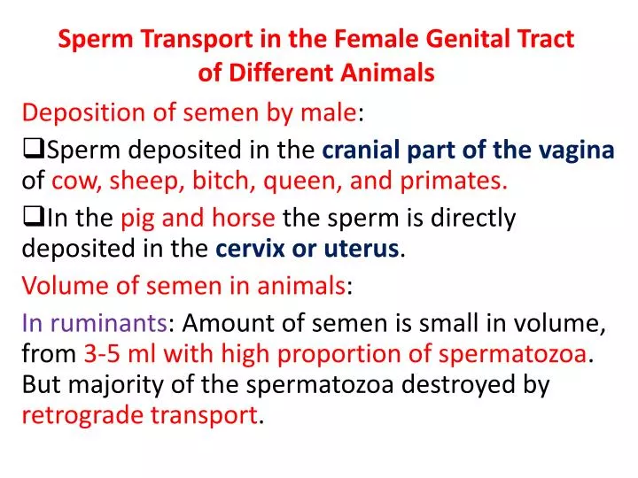 sperm transport in the female g enital tract of d ifferent animals