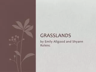 Grasslands