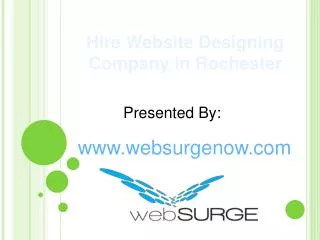 Hire Website Designing Company in Rochester