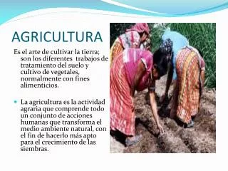 agricultura